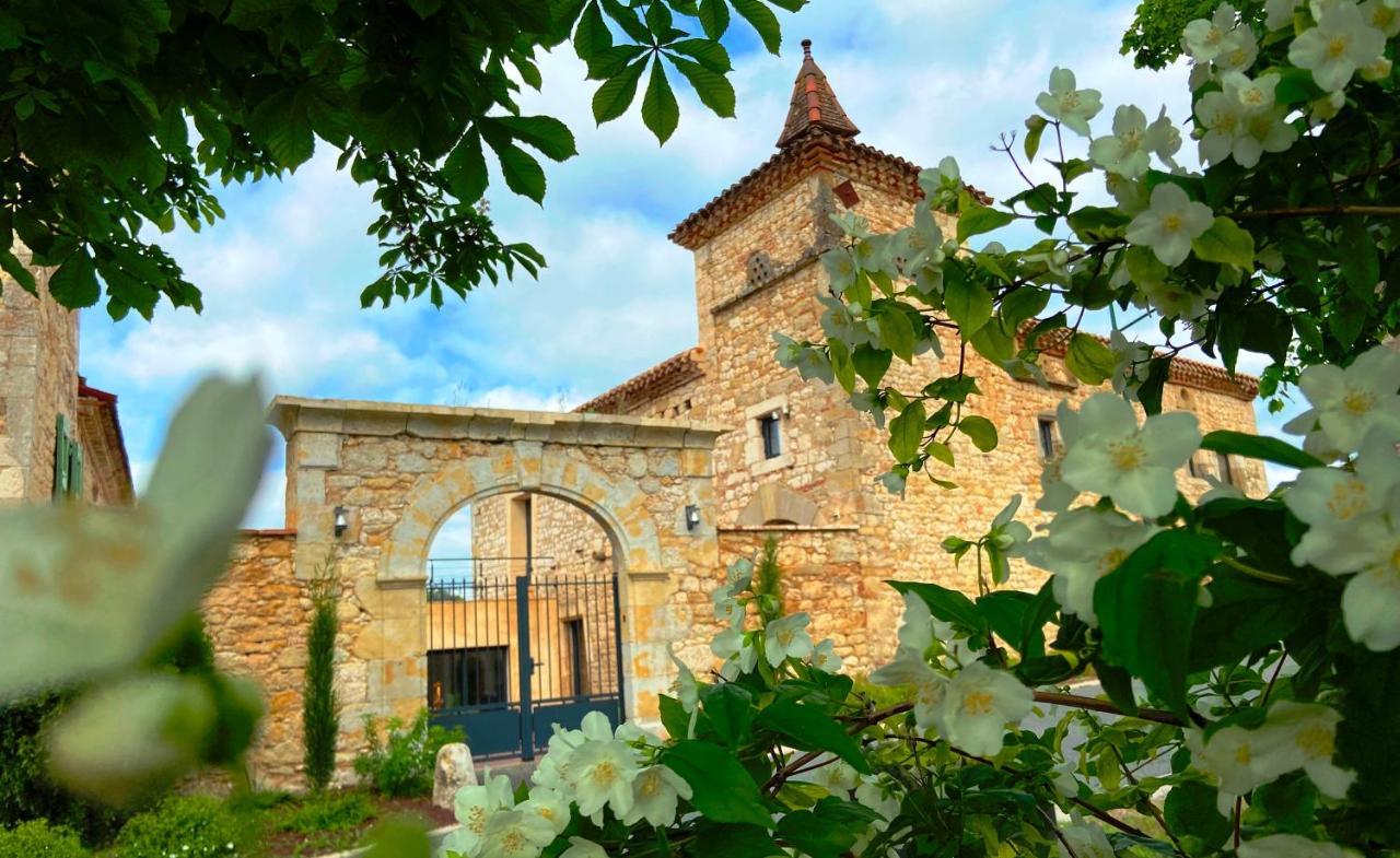 Domaine De Lejos - Portes D'Albi Lamillarié Eksteriør bilde